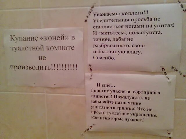 Убедительная просьба соблюдать. Шуточные объявления в туалете. Веселые надписи в туалет. Объявления для общественного туалета. Смешные надписи в туалете.