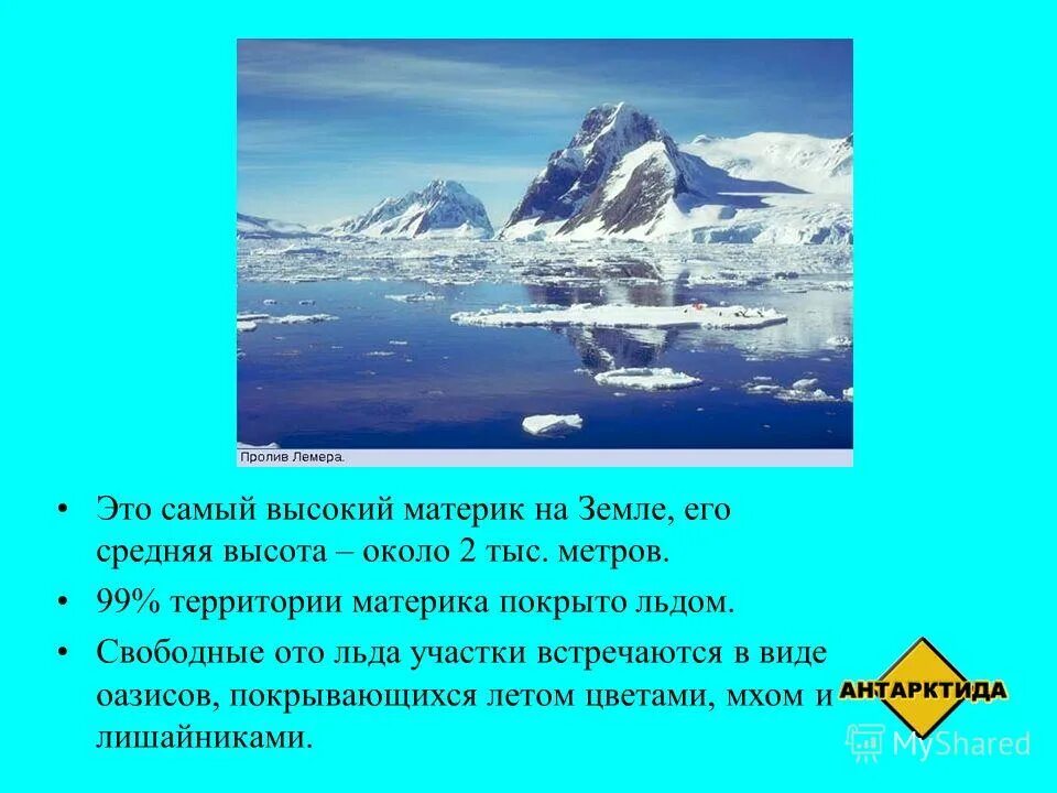 Свободный ото льда участок антарктиды. Самый высокий материк. Самый высокий Континент на земле. Материк покрытый льдом. Участки суши свободные ото льда это.