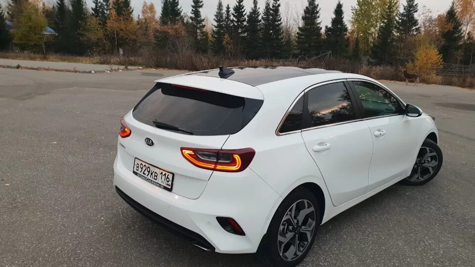 Сид турбо. Киа СИД 1.4 турбо. Kia Ceed турбо. Киа Ceed 2018 белый 1.4. Киа СИД турбо 1.6.