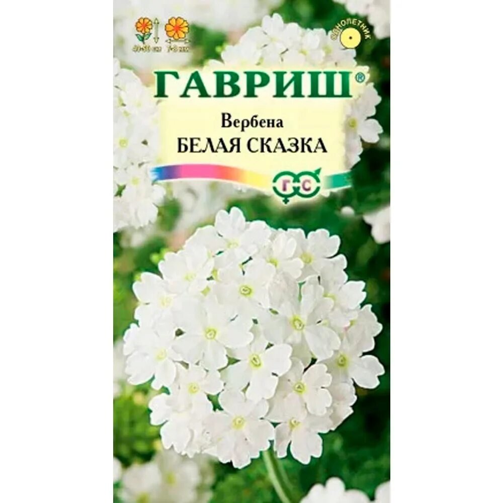 Вербена Гавриш. Семена Гавриш Вербена белая сказка, высокорослая 0,1 г. Вербена гибридная белая. Вербена цветок белая. Вербена белая