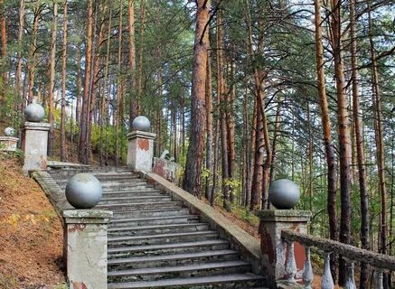 Сосновый бор каменск уральский