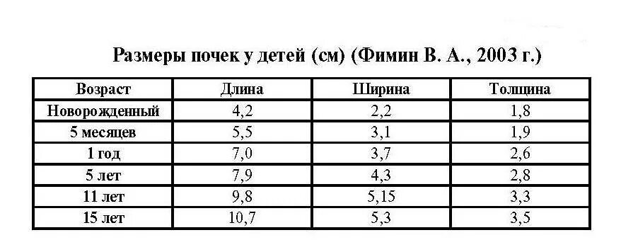 Размеры печени по узи норма