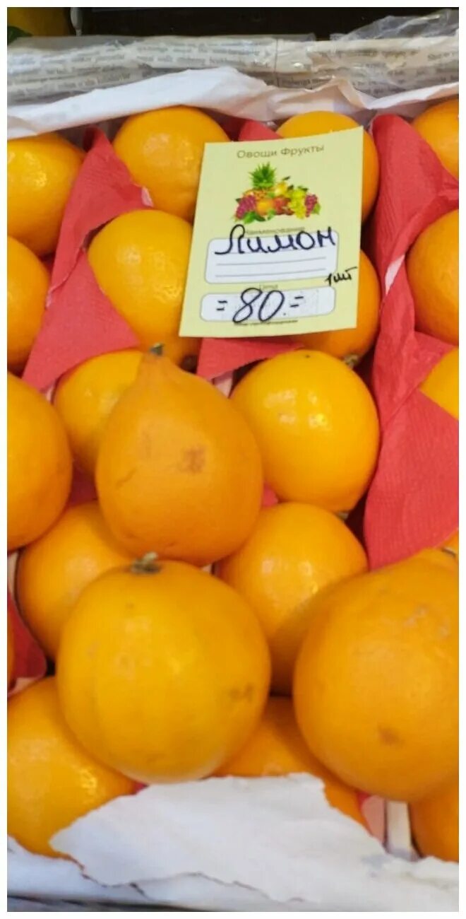 волкамериана цитрус. лимонаджи фрукт. гибриды лимонов. фрукт цитрус кумкват. танжело гибриды цитрусовых.