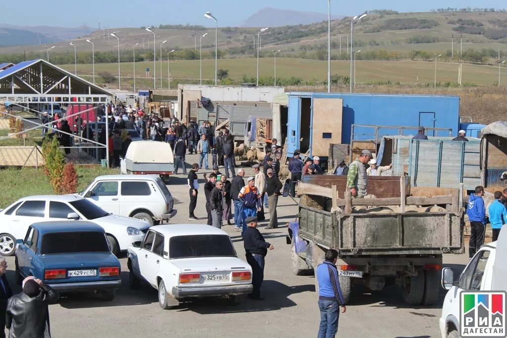 Погода новом чиркее 10 дней. Эрпели Буйнакский район. Селение Эрпели Буйнакского района. Село Чиркей Буйнакского района. Эрпели Дагестан.