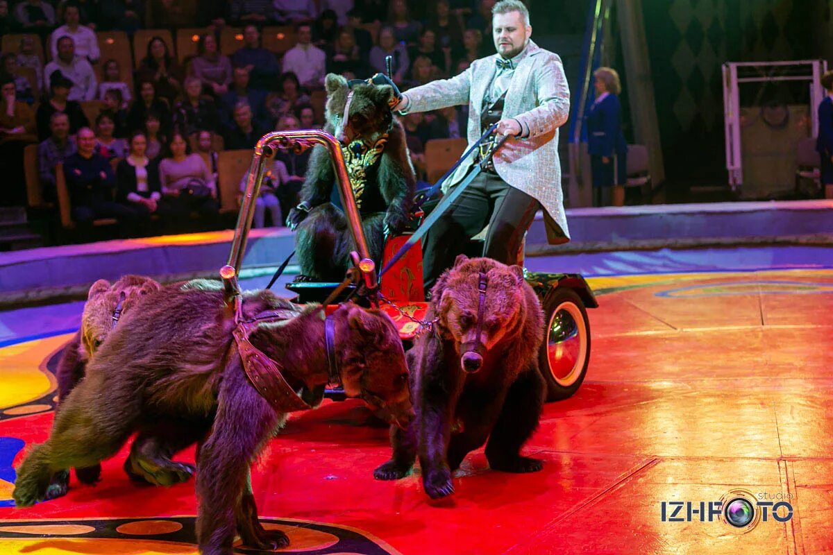 цирк шари вари ангарск. московский цирк вернадского запашные. саратовский государственный цирк имени братьев никитиных зал. большой санкт-петербургский государственный цирк на фонтанке. цирковое представление.