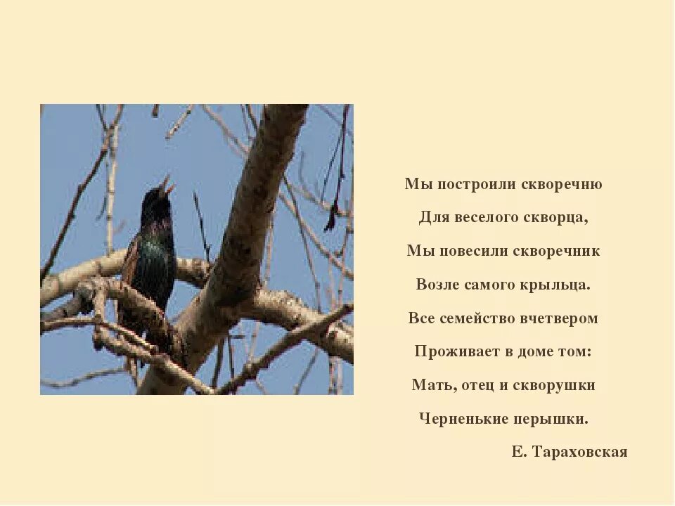 Анализ стихотворения уступи мне скворец уголок. Стих про скворечник для детей. Стих про скворца. Стихотворение про скворечник для детей. Стихотворение про скворца.