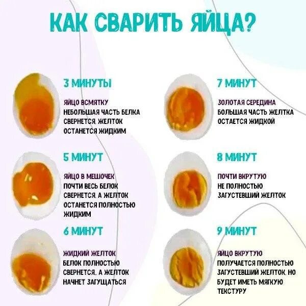 Сварятся ли яйца. Сколько варить яйца. Стадии готовности яиц. Как правильно варить яйца. Варка яиц по минутам.