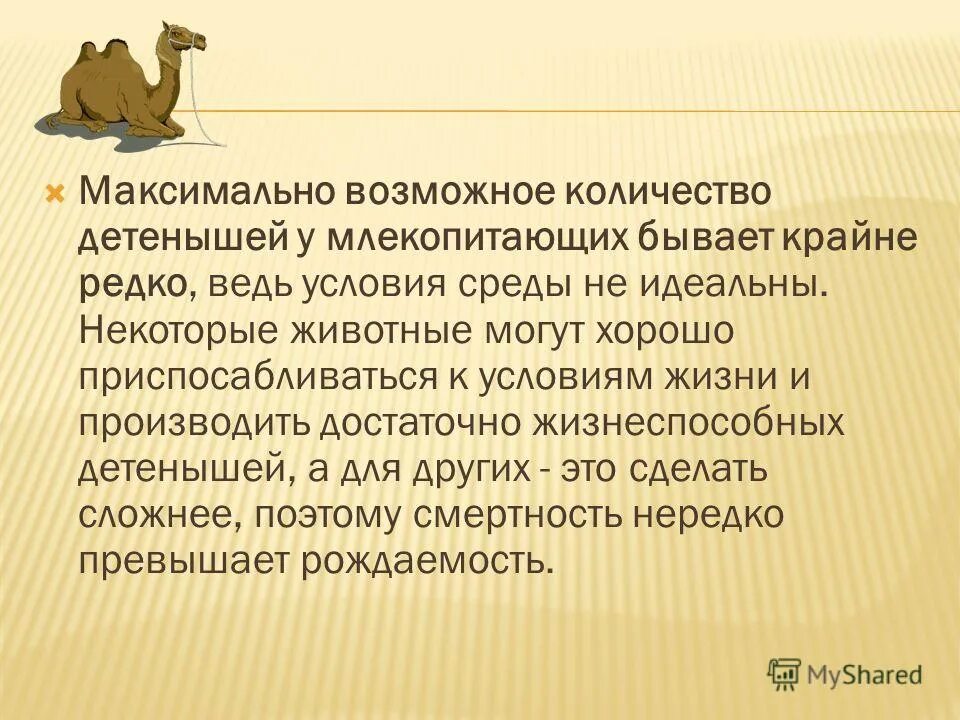 есть ли такое животное трубкозуб. бывает крайне редко. бывает крайне редко. демотиваторы с добрым утром. еврейская мудрость про женщин.