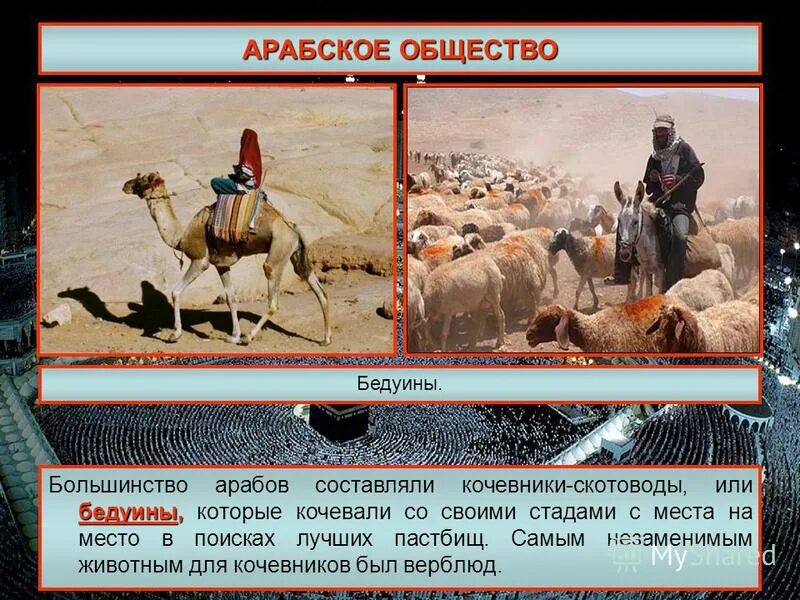 Бедуины в средние века. Арабские бедуины. Дугиа чад. Основное занятие арабов бедуинов. Деревня бедуинов в хургаде.