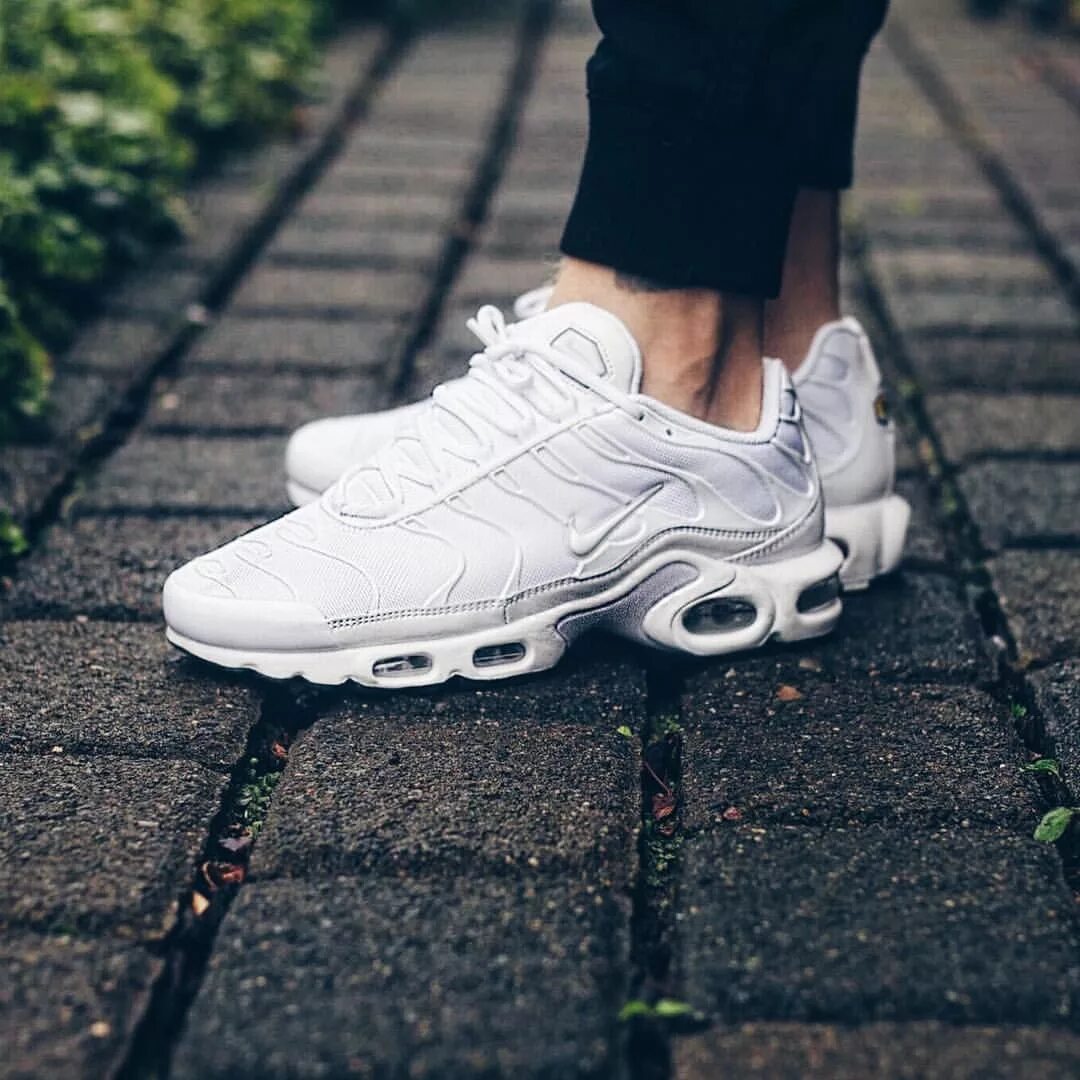 Плюсы кроссовок найк. Nike Air Max TN Plus White. Nike Air Max TN Plus. Nike Air Max TN Plus 2. Nike Air Max TN Plus белые.