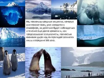 Проблемы антарктиды