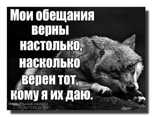 Просто не будет обещаю. Мои обещания. Цитаты волка. Статусы про обещания со смыслом. Великое предательство.