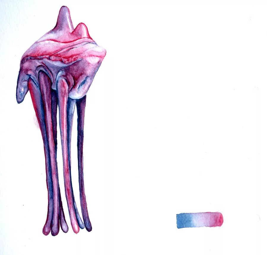 ханар масс эффект. ханар масс эффект. ханары масс эффект арт. масс эффект 3 ханары. ханары mass effect 3.