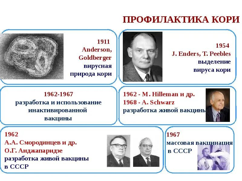 Корь история открытия. История открытия вируса кори. Валюта кори