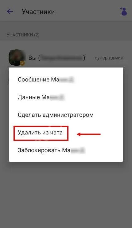 Как сделать супер админа в вайбере. Администратор группы в вайбере. Как стать супер админом в вайбере в группе. Как убрать админа в вайбере.