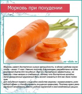 Можно собакам морковь вареную