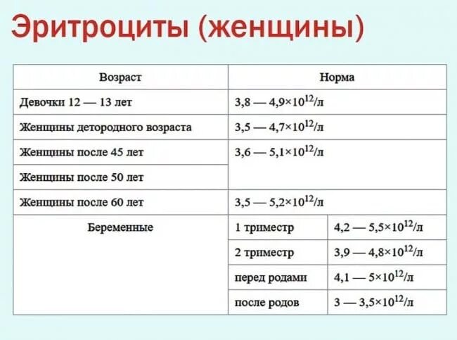 Эритроциты что это значит у женщин. Норма эритроцитов в крови у женщин после 60. Норма эритроцитов в крови у женщин после 50. Норма эритроцитов в крови у женщин после 40. Эритроциты в крови норма у женщин после 50 лет таблица норм.