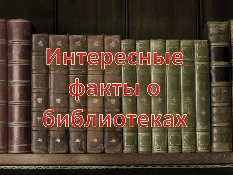 Интересные факты о библиотеках. Интересные факты о книгах. Интересные истории из библиотеки. Интересные факты о книгах и библиотеках. Истории про библиотеку