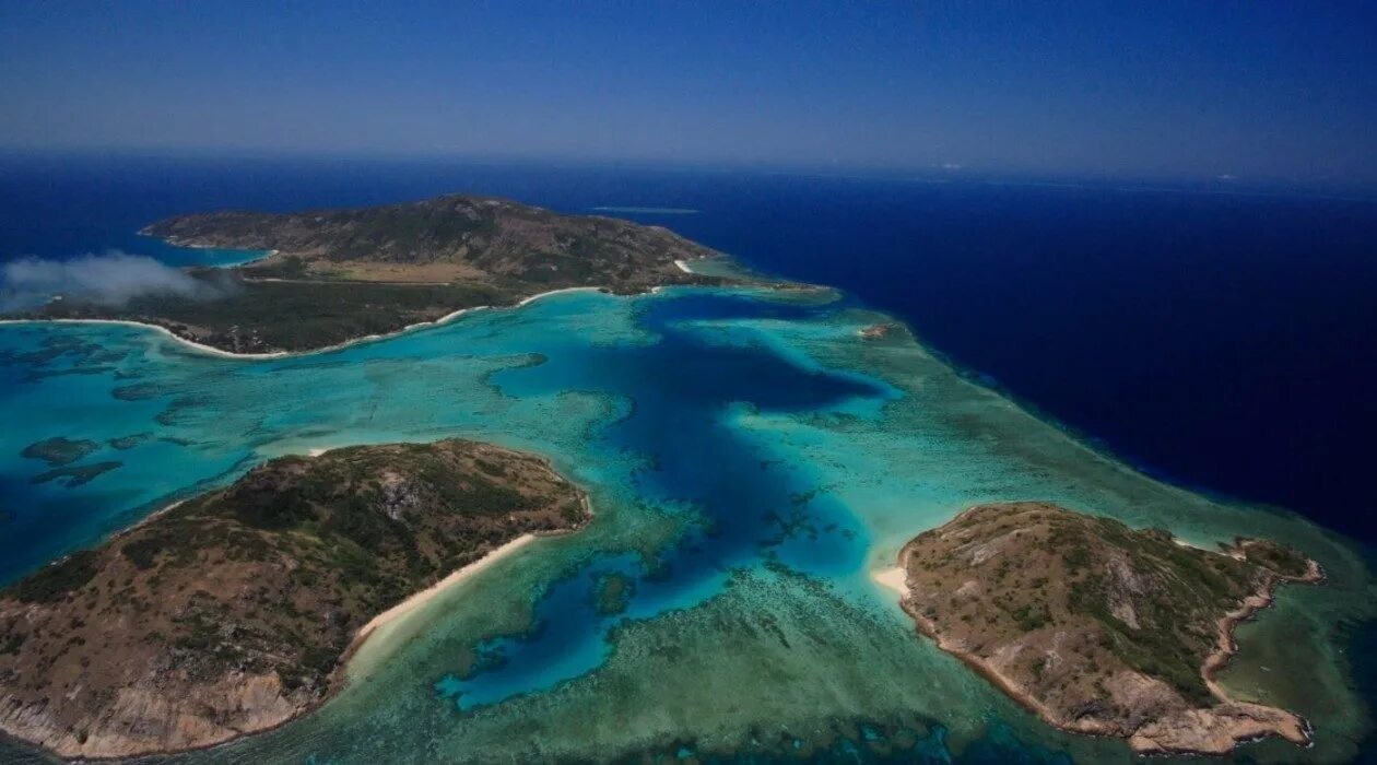Остров Лизард Австралия. Мальдивы Лагуна риф. Остров Херон большой Барьерный риф. Большой Барьерный риф Квинсленд. Происхождение островов австралии