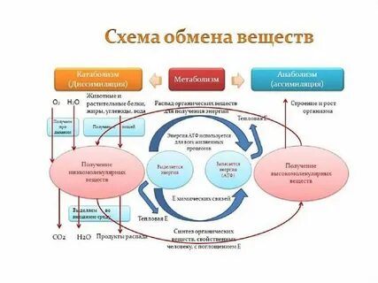 Размен закон