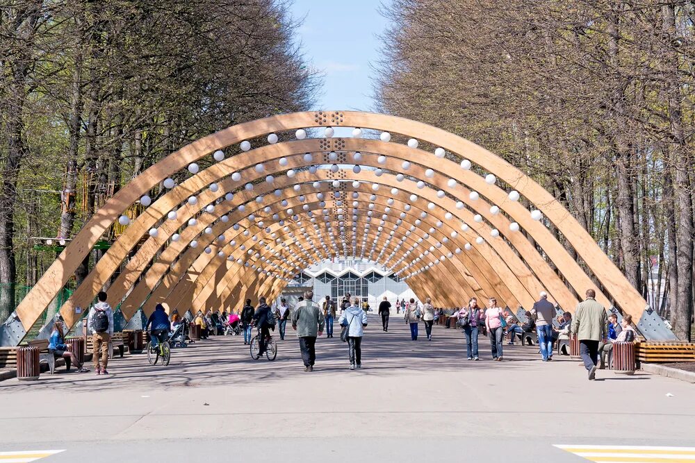 Погода в москве сокольники. Москва парк Сокольники парк Сокольники. Парк культуры Сокольники Москва. Парк Сокольников в Москве. Лесопарк Сокольники.