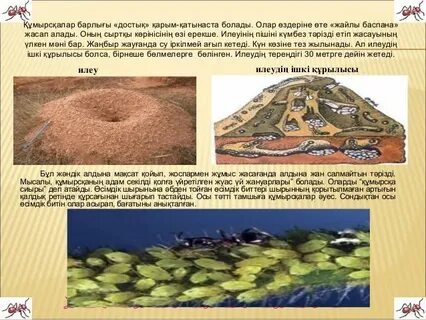 Мәжбүрлеп секс порно видеоларды қараңыз