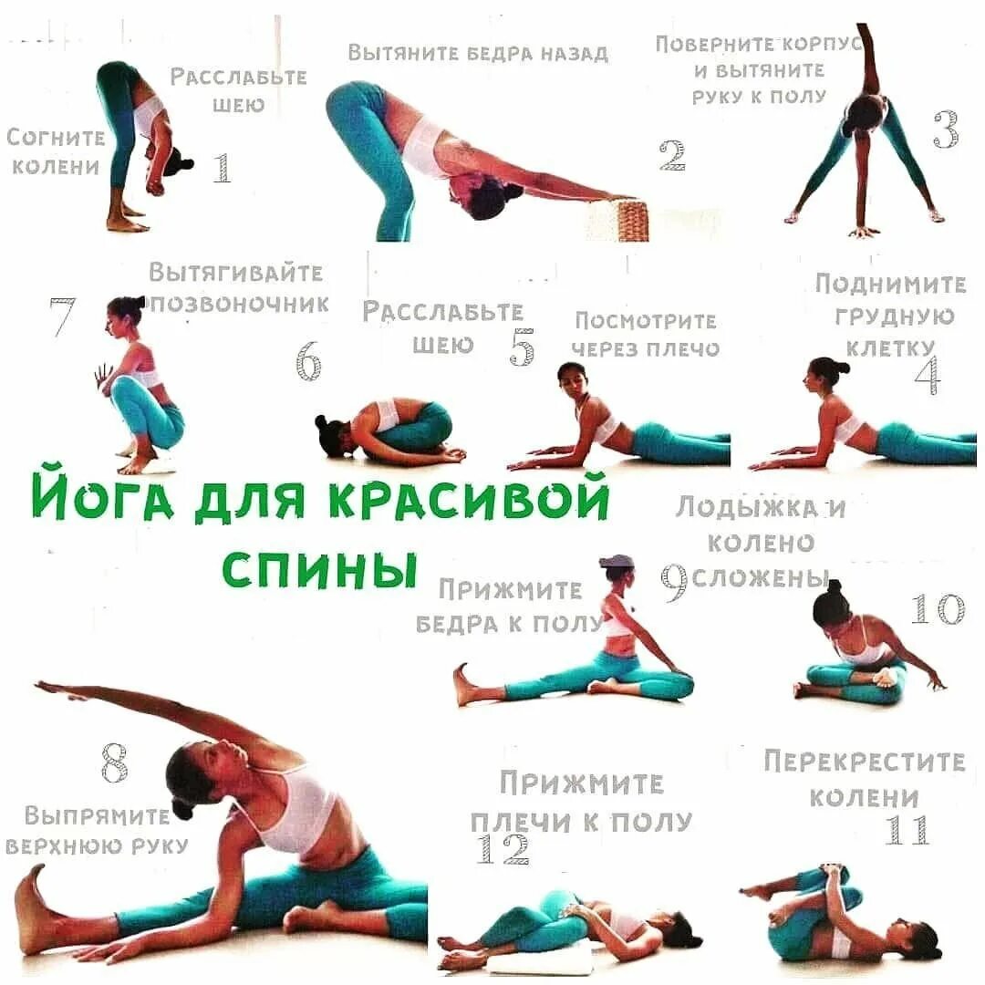 Как выполнять упражнения йоги. Основные асаны в йоге для начинающих. комплекс асан йоги для начинающих. йога асаны для начинающих для похудения. комплекс упражнений для спины хатха-йога.