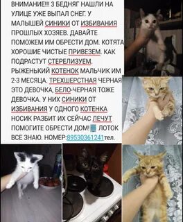 Рассказ отдам
