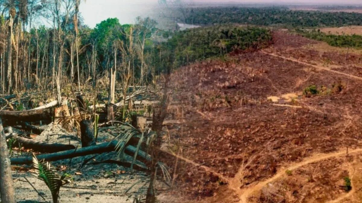 AP Explains: A look at Amazon fires as climate worries mount