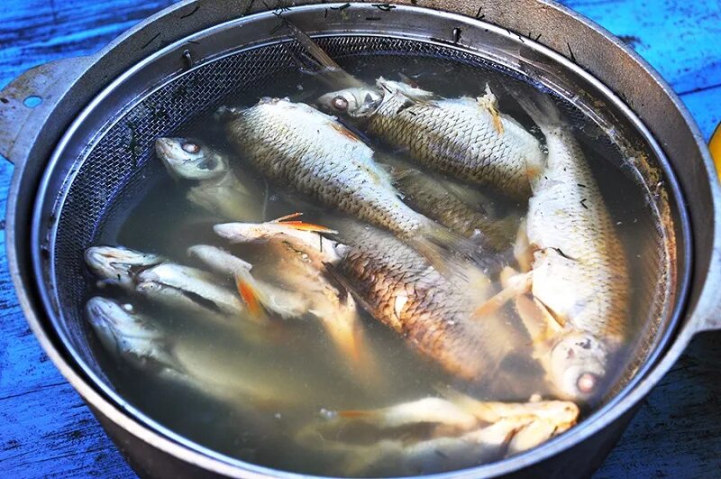 Какую рыбу кладут в уху