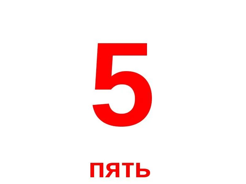 Цифра 5. Цифры (карточки). Цифры детям 5 красные. Цифра 5 красного цвета.