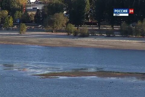 Вода в дону сейчас