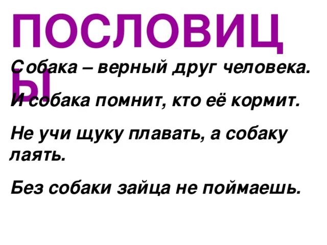 Не учи рыбу плавать пословица. Пословица не учи щуку плавать. Пословица учи рыбу плавать а собаку лаять. Пословица про друга верного собаку.