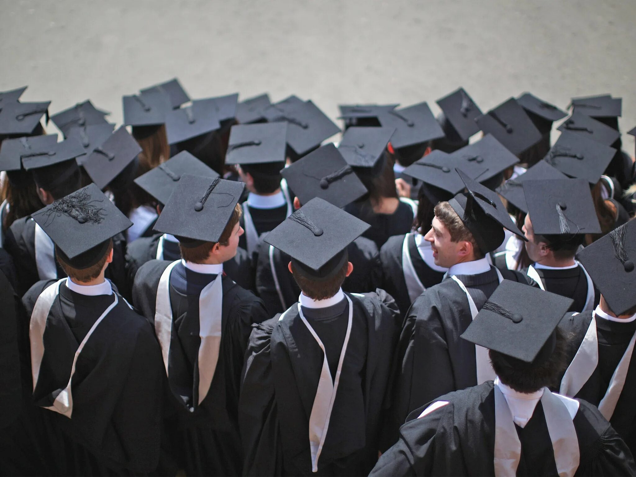 High school graduates. Высшее образование. Современное высшее образование. Массовое высшее образование. Образование картинки.