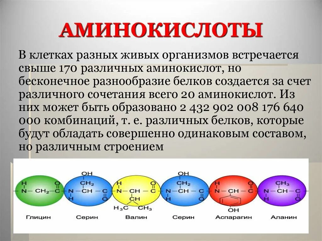 Клетки состоят из аминокислот. Аминокислоты это. Аминокислоты в живых организмах. Разнообразие аминокислот.