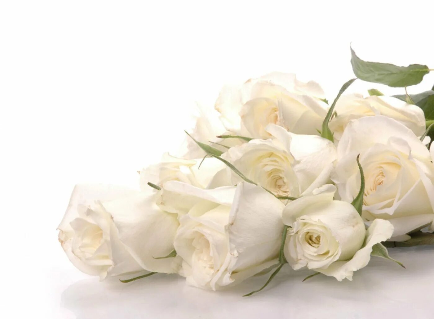 Открытки с днем рождения белые розы. Открытки с белыми розами. Белые розы поздравление. Открытки с днём рождения женщине белые розы. Христианские поздравления с днем 8