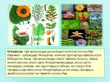 Отыздан асқан қыздармен жыныстық қатынас