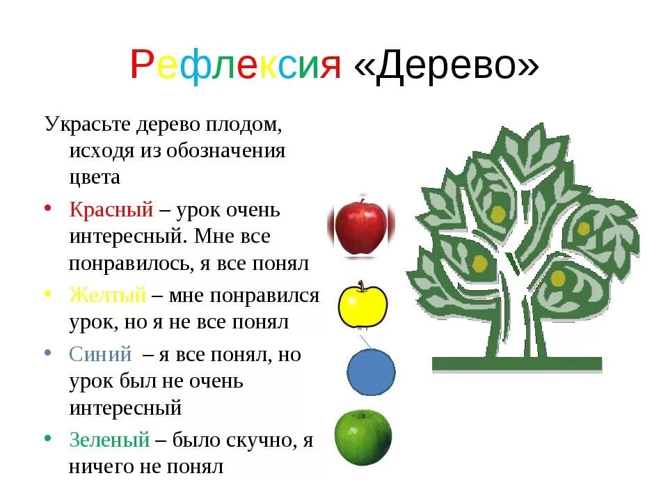 Рефлексия. Рефлексия тема деревья. Рефлексия на уроке. Урок дерево 8 класс