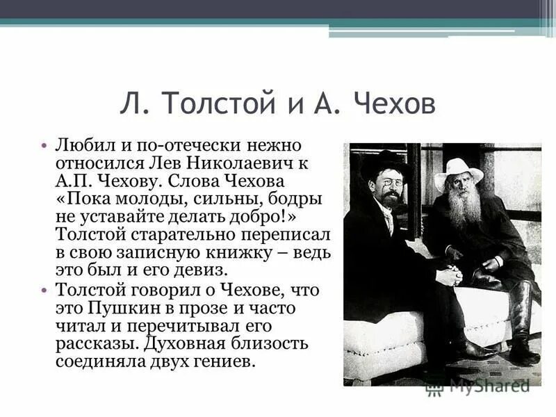 биография а п чехова. чехов и его произведения. антона павловича чехова (1860–1904). рассказ чехова моя она. антон павлович чехов.