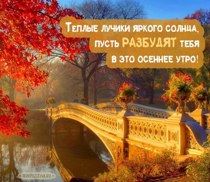 Pin on Для моих друзей Spirit animal art, Happy day gif, Happy tuesday
