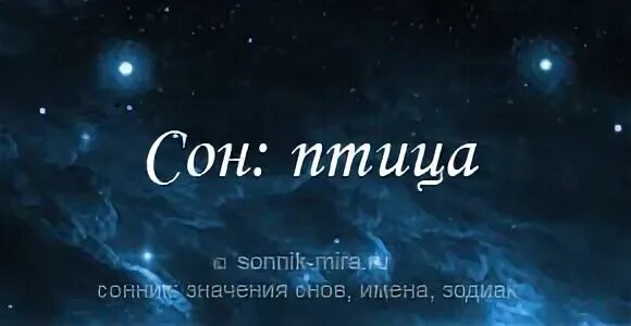 Сонник толкование к чему снится птица. Сонник толкование к чему снится птица