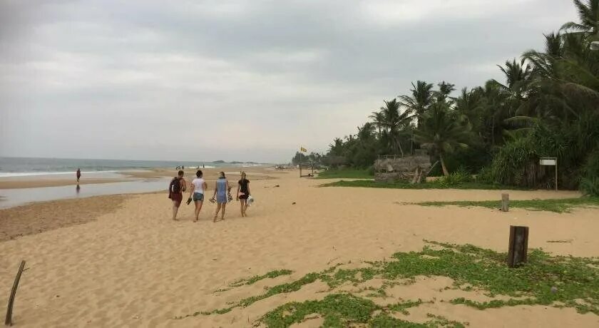 Hikkaduwa beach шри ланка. серенада бич отель шри-ланка. Serenade beach hotel. Serenade beach hotel шри ланка. Serenade beach hotel 3 хиккадува.