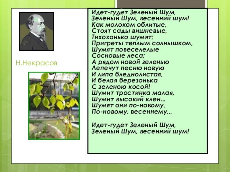 Зеленая была слова. Стих зелёный шум Некрасов. Н А Некрасов зелёный шум к и Чуковский. Стих Некрасова зеленый шум. Стихотворение идет гудет зеленый шум Некрасов.