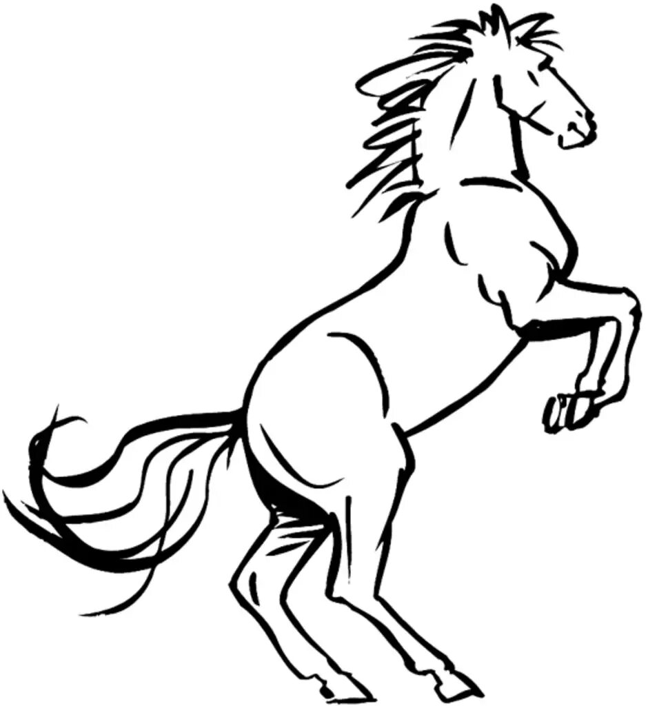 Лошадь рисунок. Конь на дыбах. Лошадь на дыбах. Раскраска лошадь на дыбах.