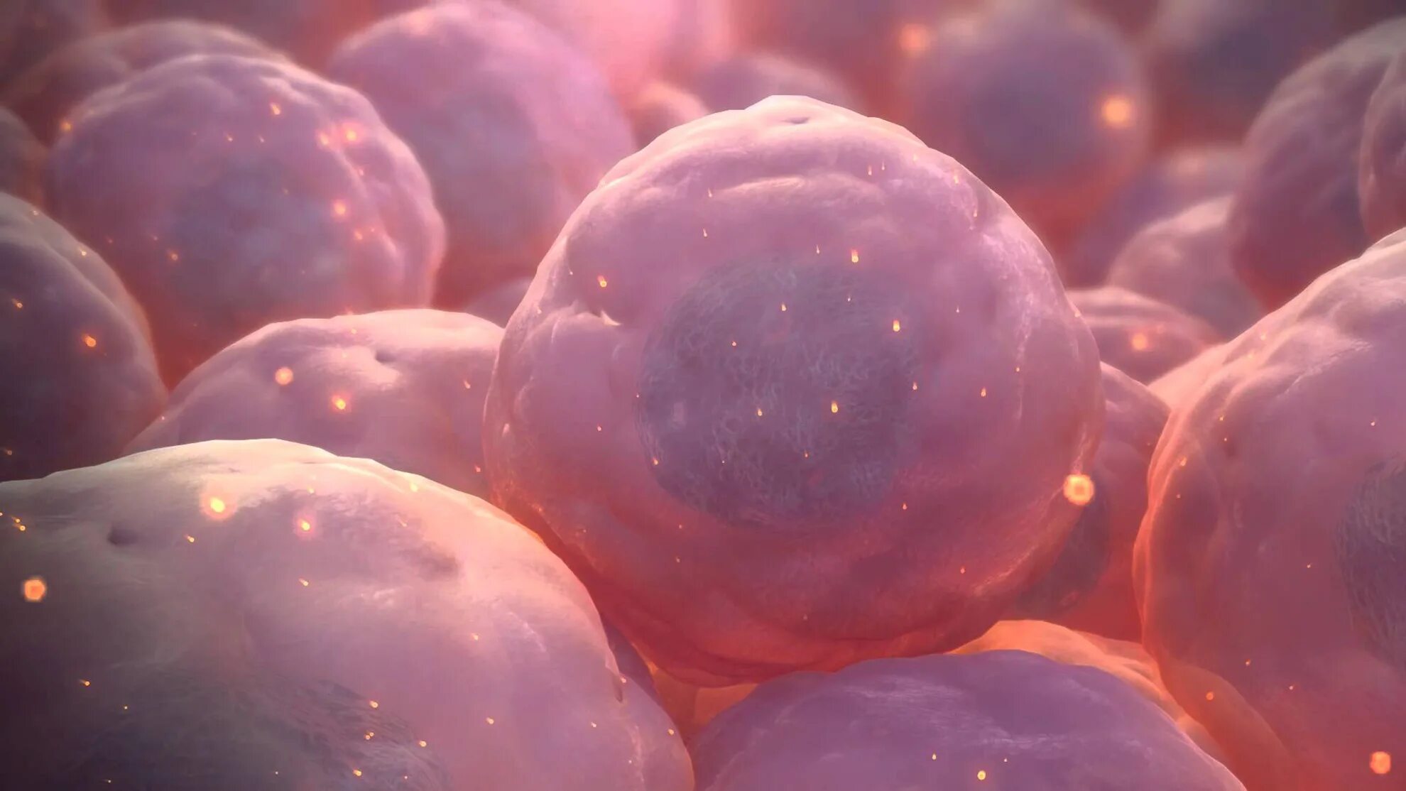 Стволовые клетки. Постнатальные стволовые клетки. Эмбриональная стволовая клетка. Что такое стволовые клетки в организме.