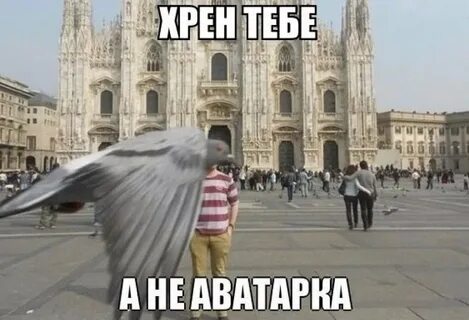 Тут летят