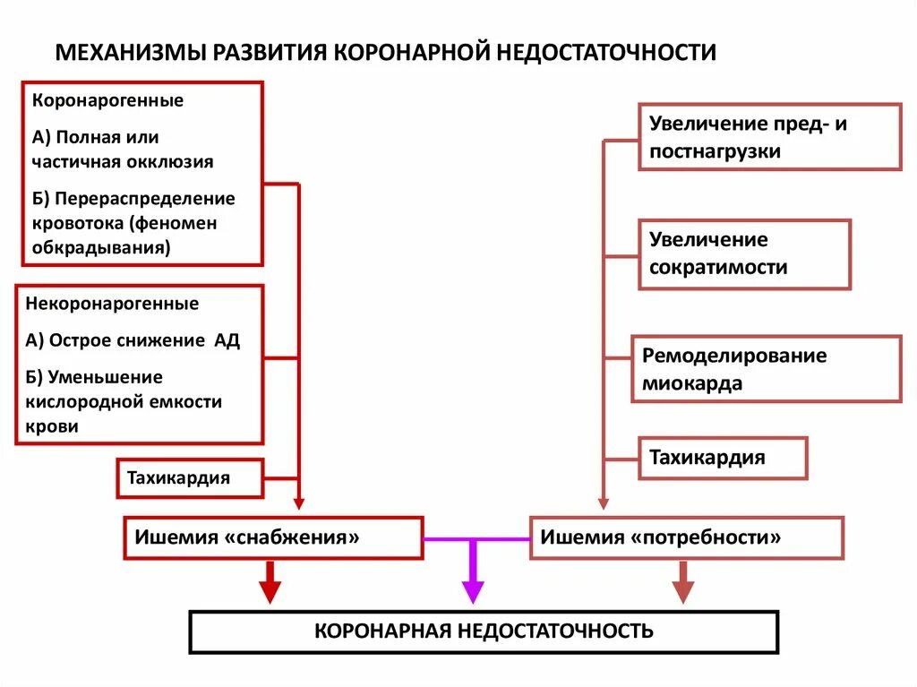 Острая сердечная коронарная недостаточность. Нервно-рефлекторный механизм развития коронарной недостаточности.. Коронарная недостаточность механизм развития. Патогенетические механизмы коронарной недостаточности. Синдром хронической коронарной недостаточности патогенез.