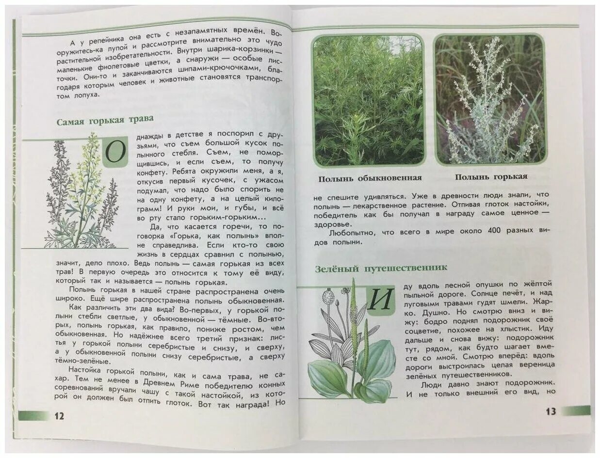 Зеленые страницы окружающий читать. Зелёные страницы. Плешаков "зеленые страницы". Зелёные страницы 2 класс окружающий мир. Зеленые страницы Просвещение.