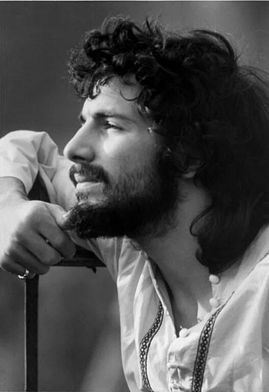 Steve cat. Cat stevens. кэт стивенс фото. кэт стивенс молодой. кэт стивенс в молодости.