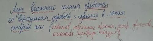 Лучом разбор. Луч весеннего солнца пробежал по верхушкам деревьев. Пробежал по верхушкам деревьев. Разбор предложения лучи солнца. Солнце скрылось за верхушками деревьев синтаксический разбор.